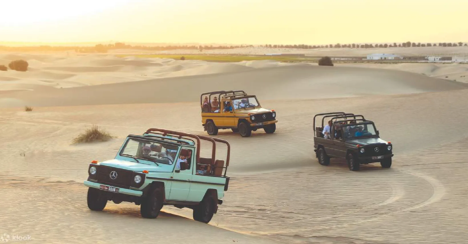 Classic Desert safari