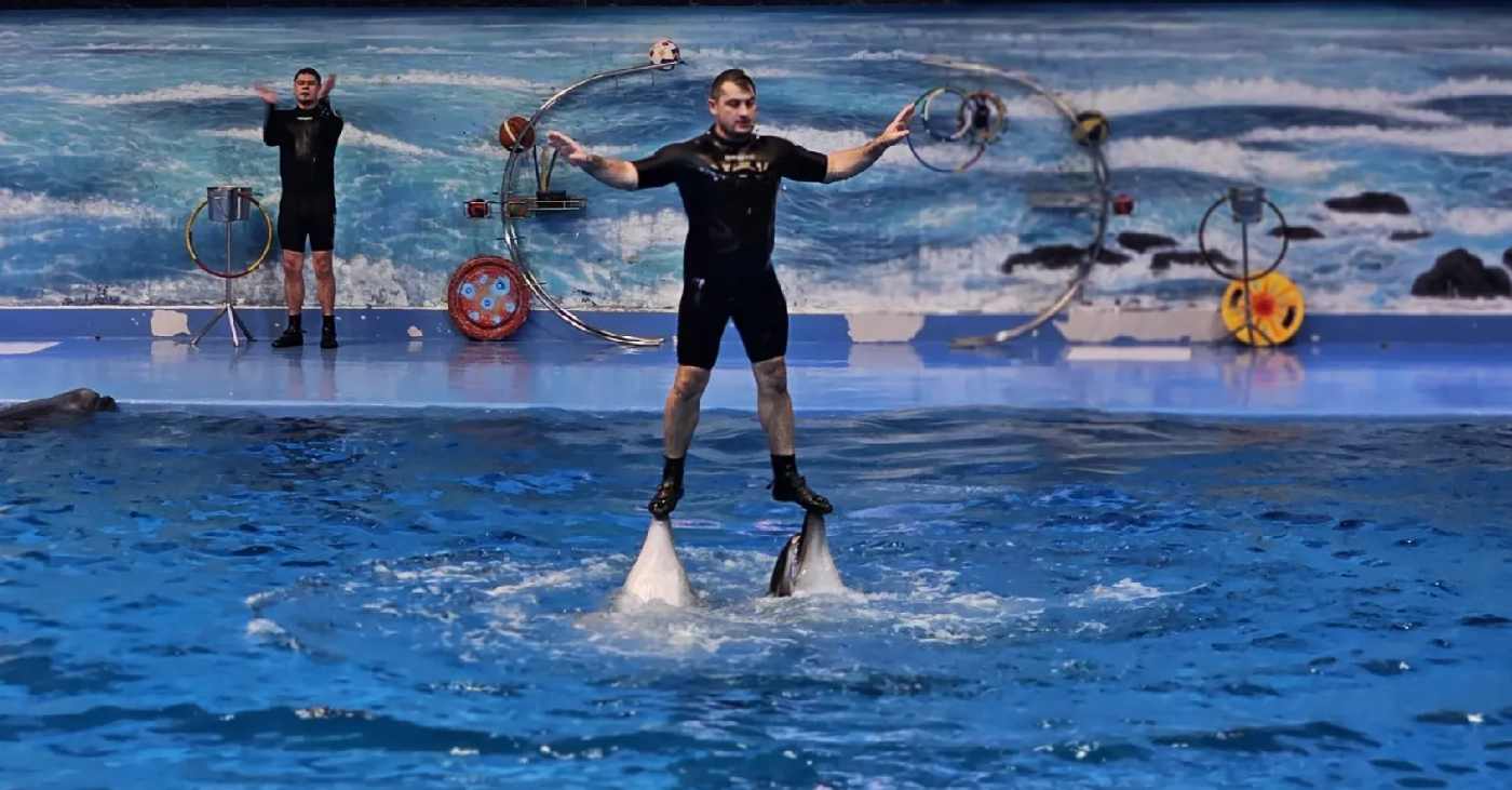 Dubai Dolphinarium tickets