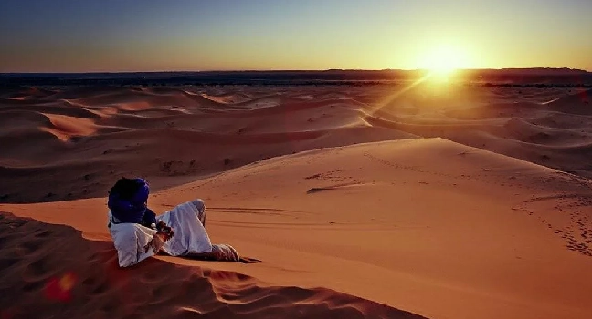 Sunrise Morning Safari Abu Dhabi
