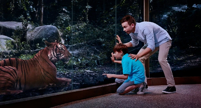 Night Safari Singapore