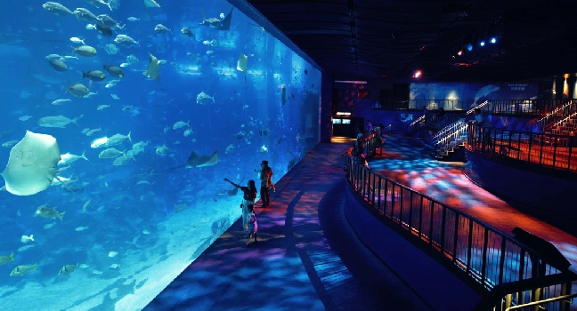 Sea Aquarium Singapore Tickets
