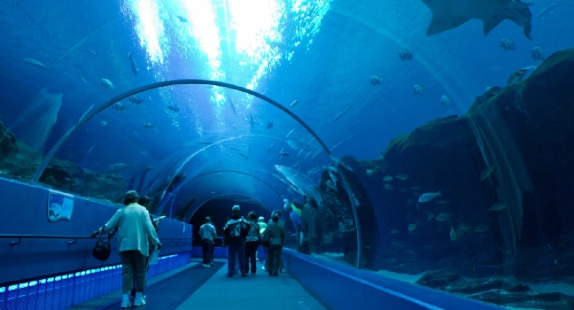 River Wonders Singapore Tickets
