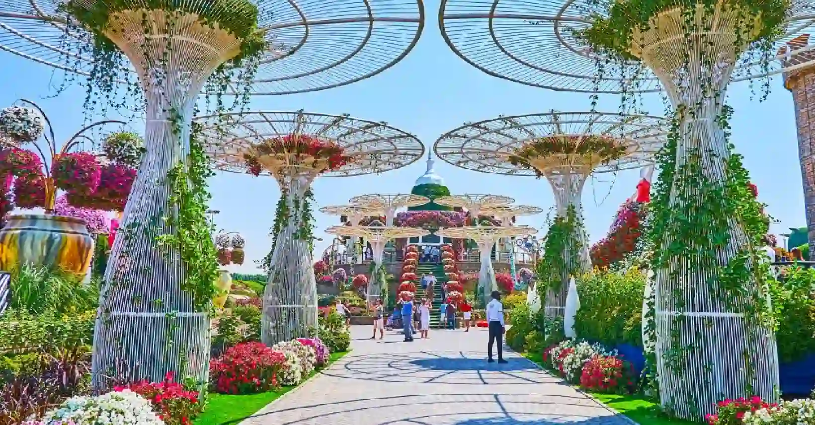 Miracle Garden Dubai