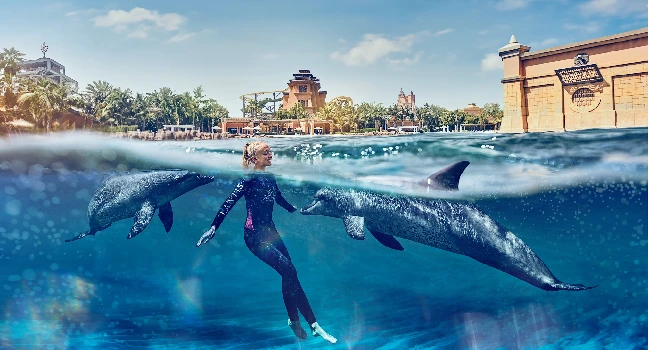 Dolphin Bay Atlantis Tickets