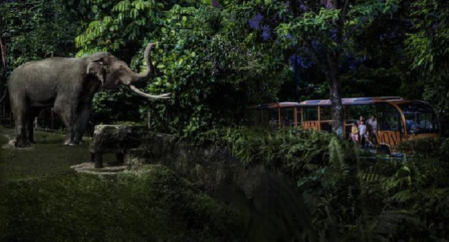 Night Safari Singapore