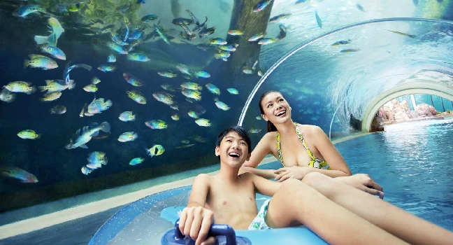 Adventure Cove Water Park tickets