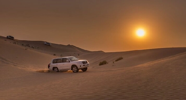 Sunrise Morning Safari Abu Dhabi