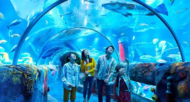Sea Aquarium Singapore Tickets