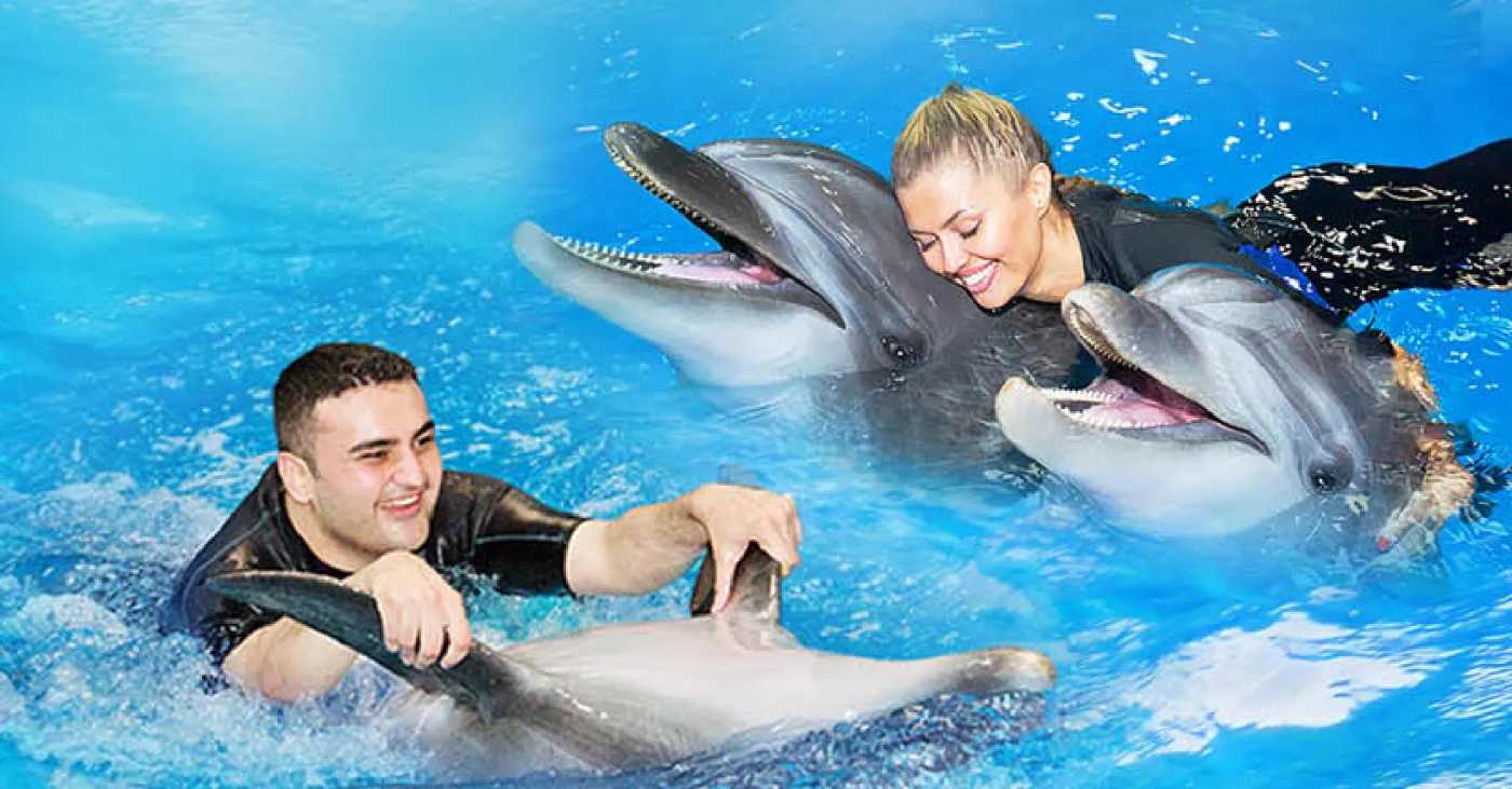Dubai Dolphinarium tickets