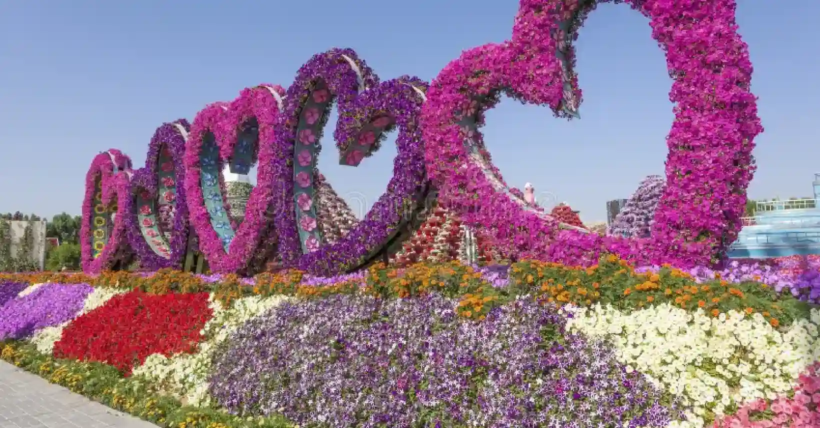 Miracle Garden Dubai