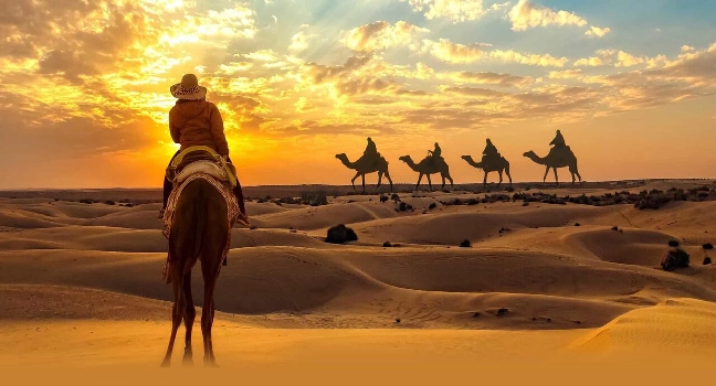 Sunrise Morning Safari Abu Dhabi