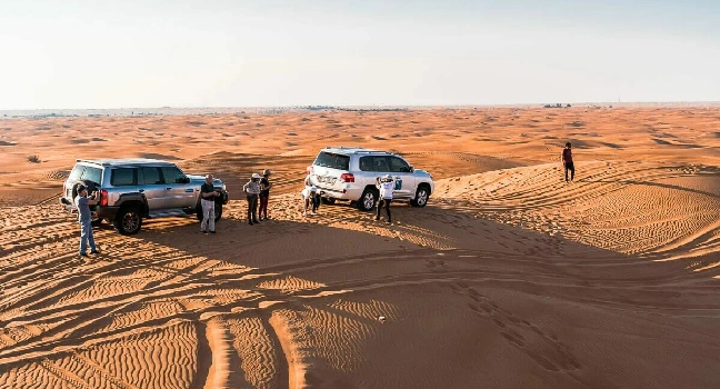 Sunrise Morning Safari Abu Dhabi