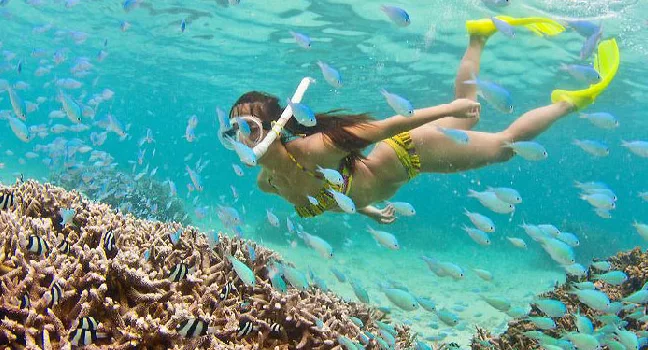 Dolphin Bay Atlantis Tickets
