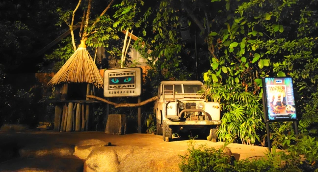 Night Safari Singapore