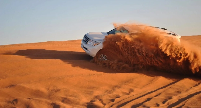 Sunrise Morning Safari Abu Dhabi