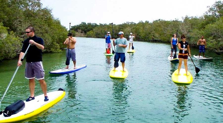 Mangrove Kayaking Abu Dhabi