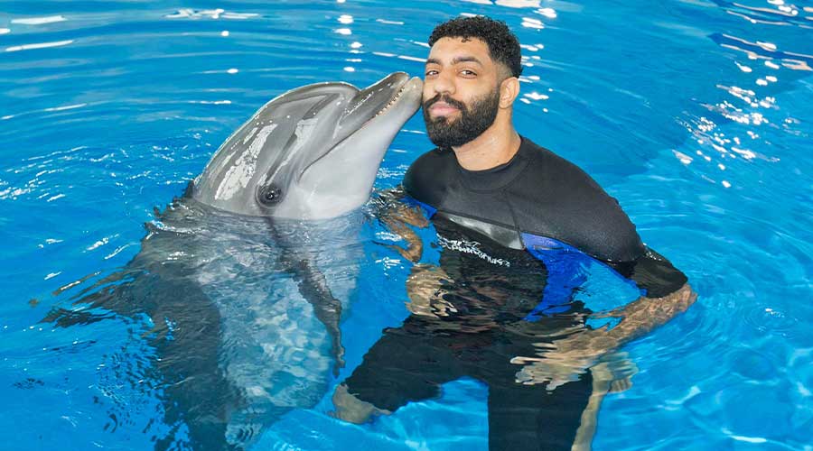 Dubai Dolphinarium Tickets