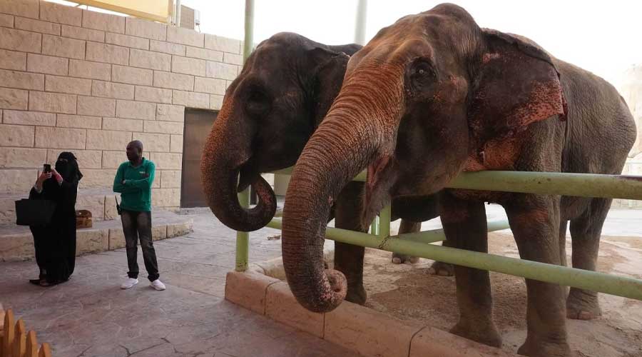 Emirates Park Zoo