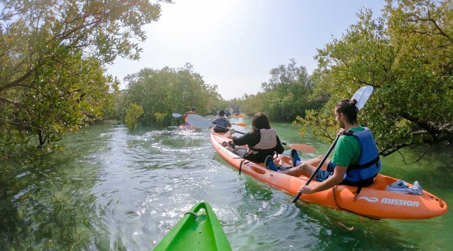 Mangrove Kayaking Abu Dhabi
