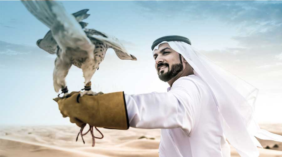 Falcon Tour Abu Dhabi