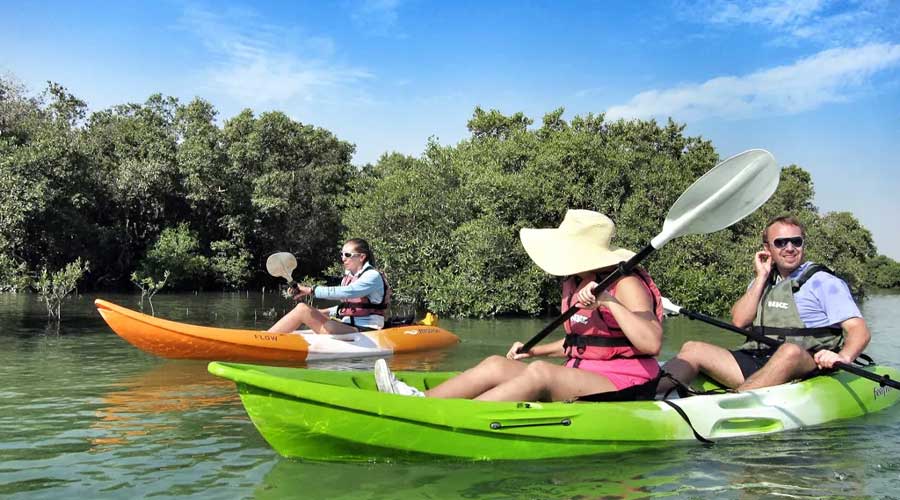 Mangrove Kayaking Abu Dhabi