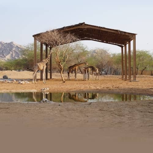 Emirates Park Zoo
