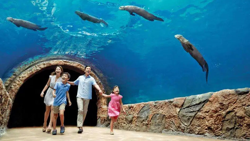 River Wonders Singapore Tickets