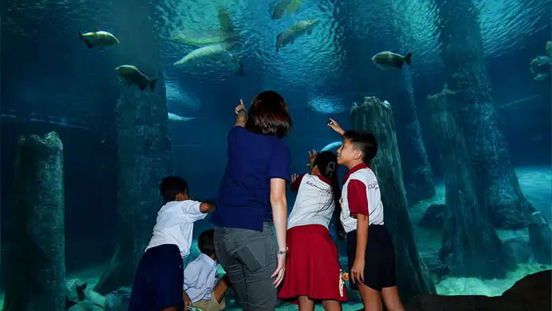 River Wonders Singapore Tickets