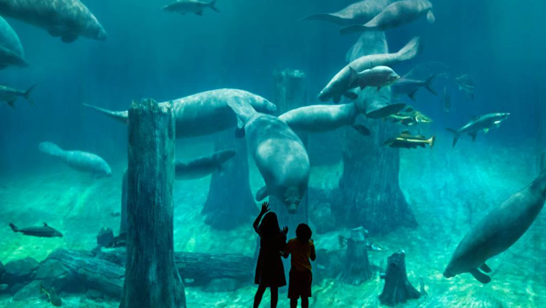 River Wonders Singapore Tickets