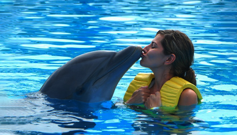 Dubai Dolphinarium Tickets