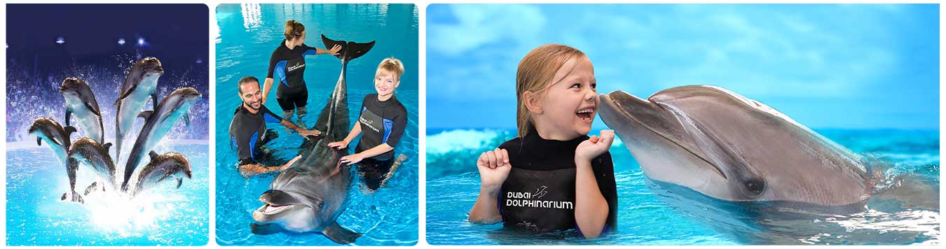 Dubai Dolphinarium Tickets