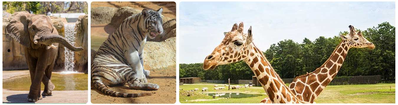 Emirates Park Zoo