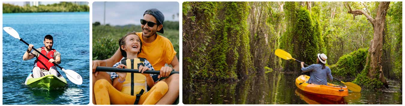 Mangrove Kayaking Abu Dhabi