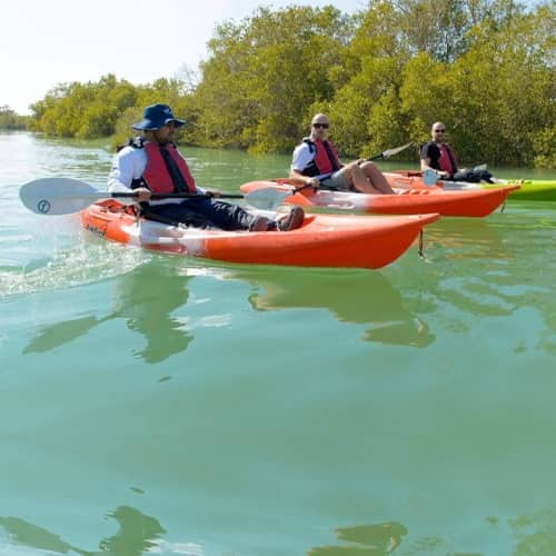 Mangrove Kayaking Abu Dhabi