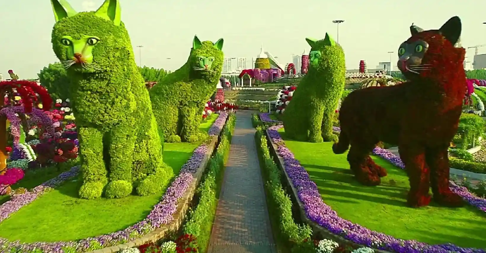 Miracle Garden Dubai