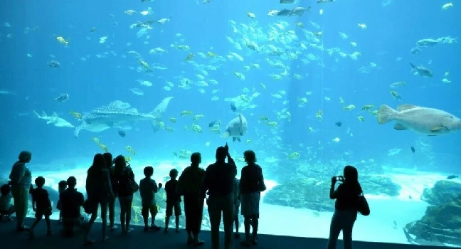 River Wonders Singapore Tickets