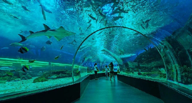 Sea Aquarium Singapore Tickets
