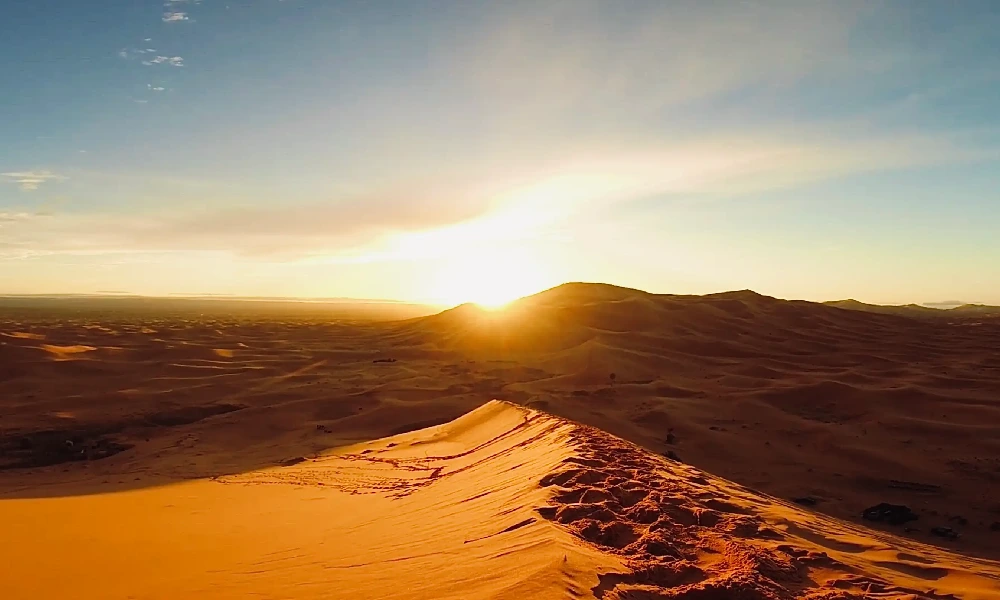 Sunrise Morning Safari Abu Dhabi