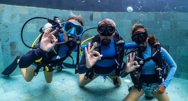 Dolphin Bay Atlantis Tickets
