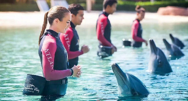 Dolphin Bay Atlantis Tickets