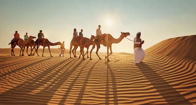 Sunrise Morning Safari Abu Dhabi
