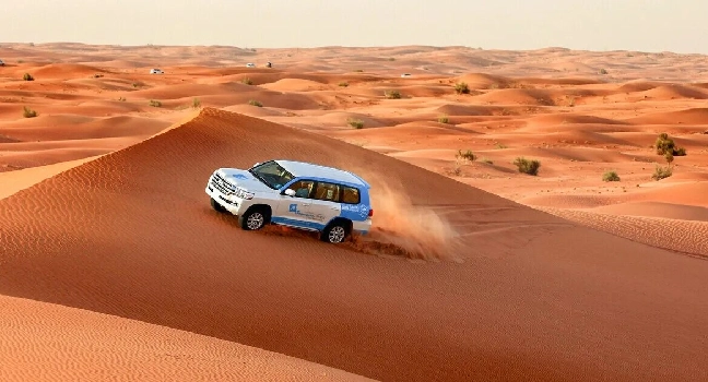 Sunrise Morning Safari Abu Dhabi