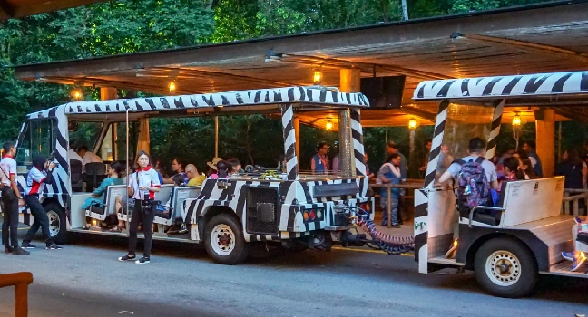 Night Safari Singapore