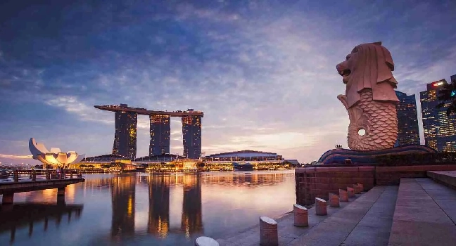 Singapore Private City Tour Package With Guide