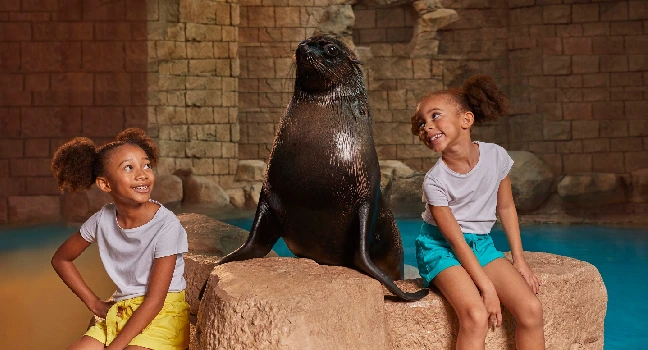 Dolphin Bay Atlantis Tickets